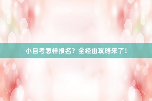 小自考怎样报名？全经由攻略来了！